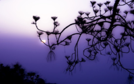 475702 (a): :1920x1200